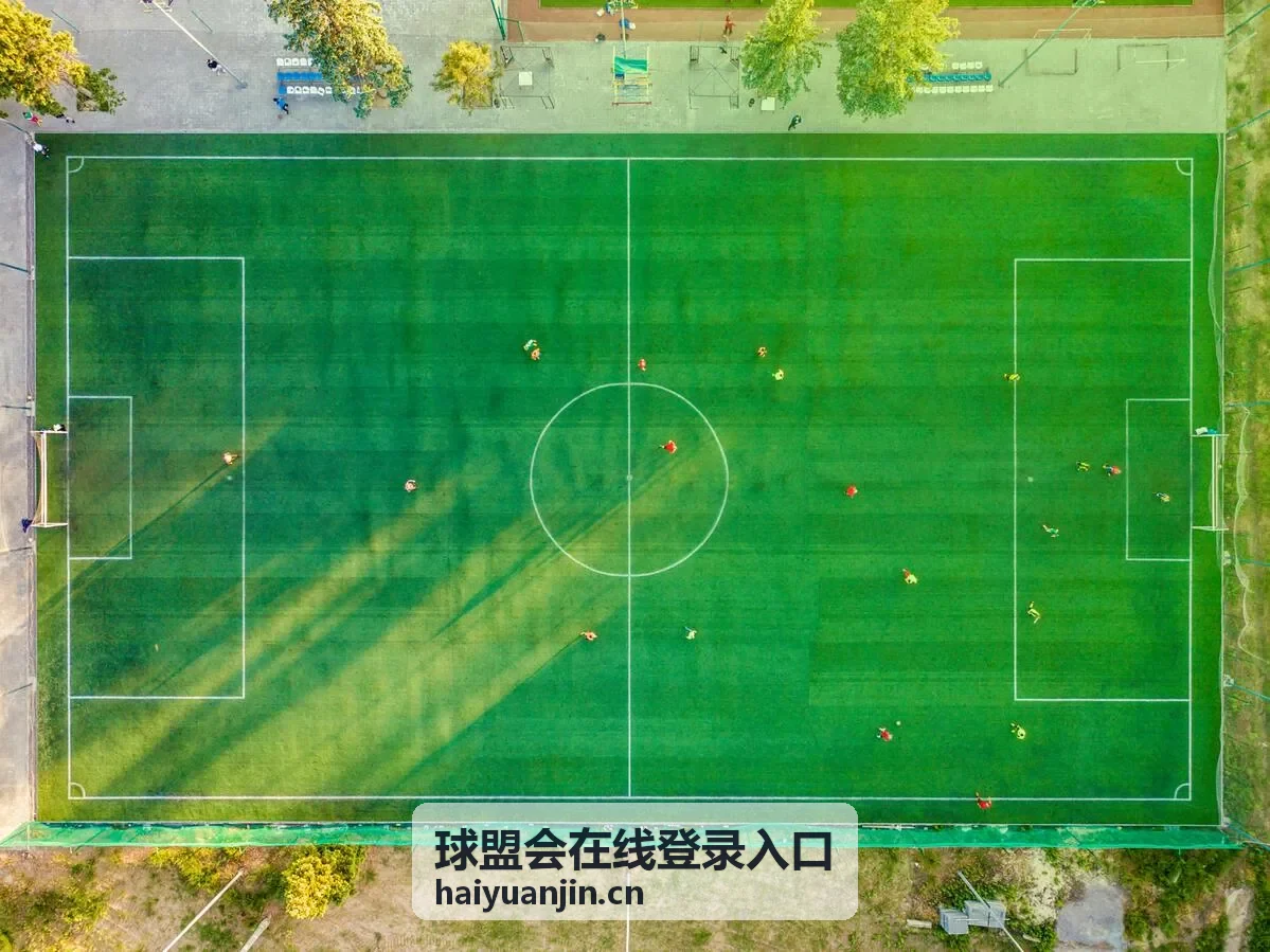 球盟会在线登录入口统一访问路径示意图